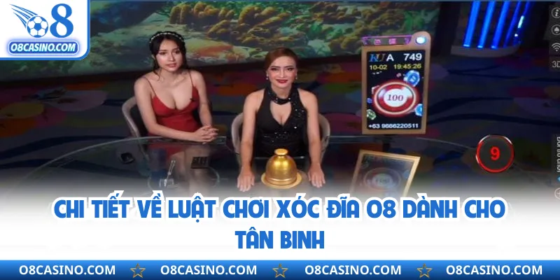 Chi tiết về luật chơi xóc đĩa O8 dành cho tân binh