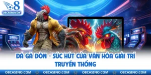 Đá Gà Đòn - Sức Hút Của Văn Hóa Giải Trí Truyền Thống
